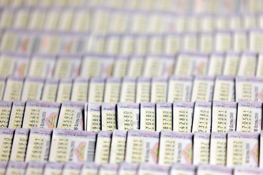 深入解析六合彩彩票全年资料大全：打造专业彩票品牌的制胜之道